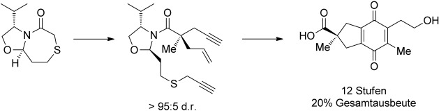 A Concise Total Synthesis of (R)-Puraquinonic Acid