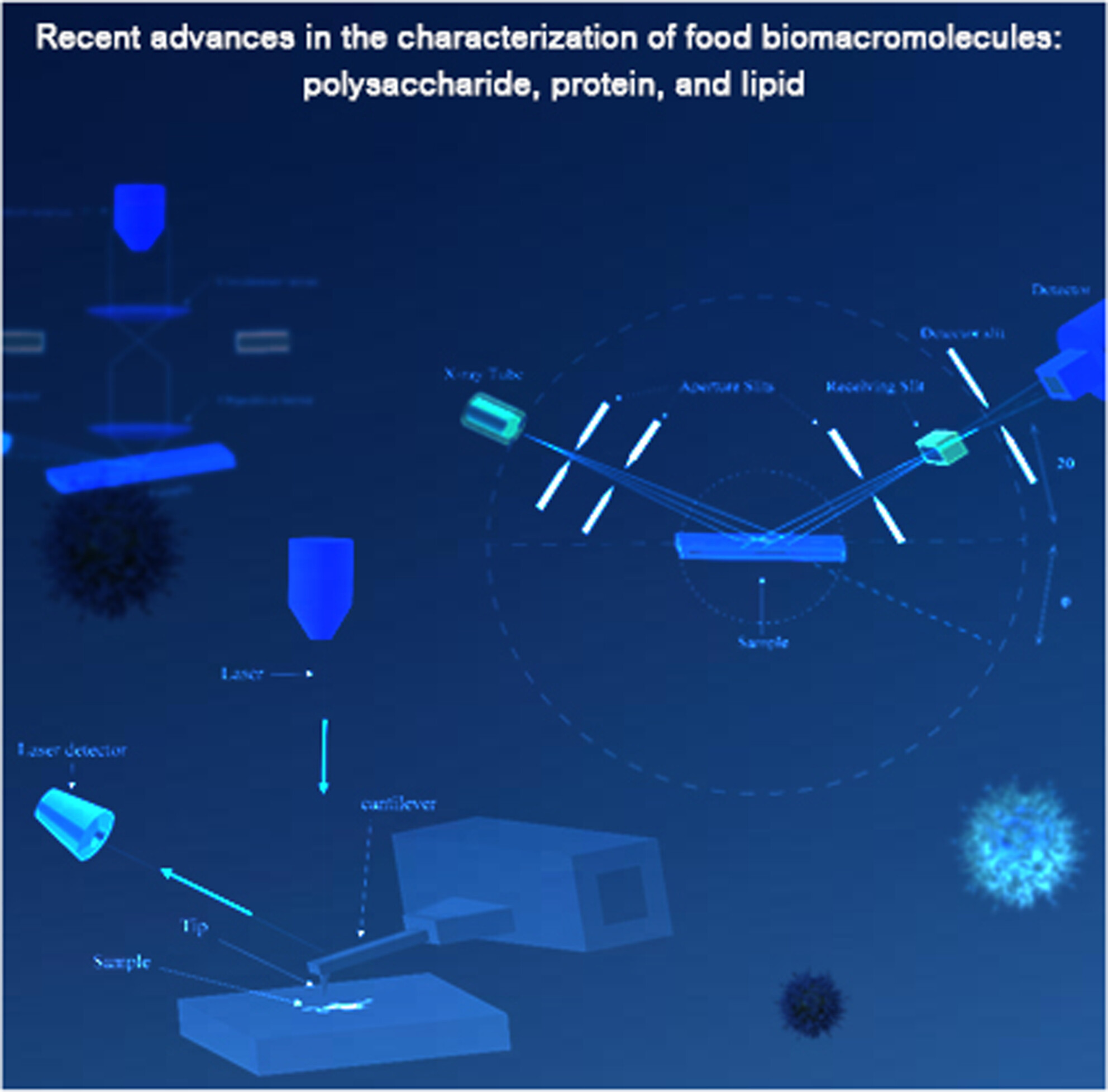 Recent Advances in the Characterization of Food Biomacromolecules: Polysaccharide, Protein, and Lipid