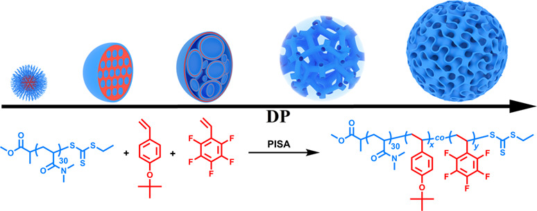 Polymerization-Induced Self-Assembly for the Preparation of Poly(N,N-dimethylacrylamide)-b-Poly(4-tert-butoxystyrene-co-pentafluorostyrene) Particles with Inverse Bicontinuous Phases†