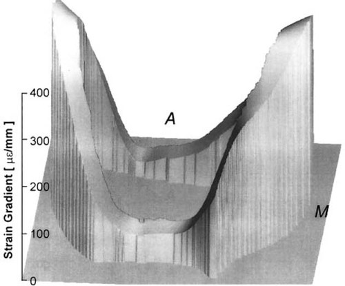 Details are in the caption following the image