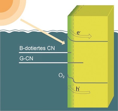 A Nanojunction Polymer Photoelectrode for Efficient Charge Transport and Separation