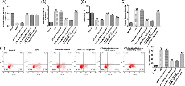 Role of lncRNA MAGI2-AS3 in lipopolysaccharide-induced nucleus pulposus cells injury by regulating miR-374b-5p/interleukin-10 axis