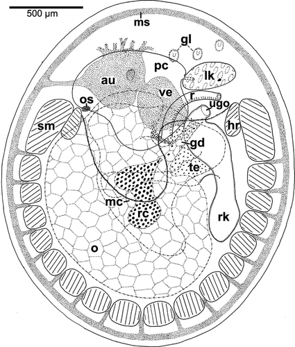 Details are in the caption following the image Details are in the caption following the image