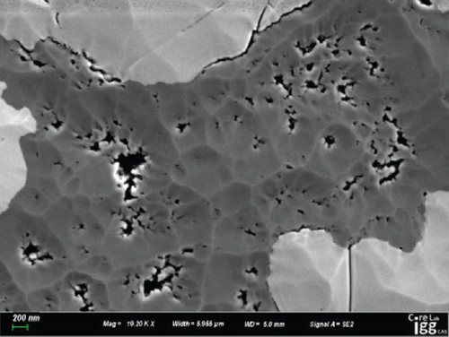 Details are in the caption following the image