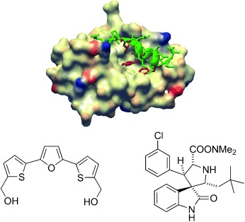 Small Molecule Modulators of Transcription