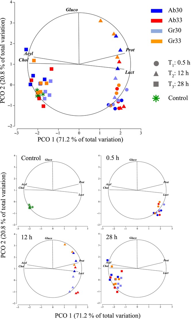 Thermoregulatory response in juvenile Hippocampus erectus: Effect of magnitude and rate of thermal increase on metabolism and antioxidative defence