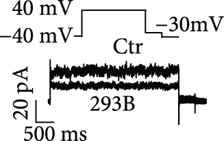 Details are in the caption following the image