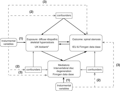 Intervertebral Disc Degeneration Mediates the Causal Effect of Genetically Predicted Diffuse Idiopathic Skeletal Hyperostosis on Spinal Stenosis: Evidence From a Mendelian Randomization Study