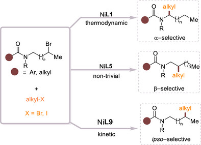 Switchable Regiodivergent Reductive Alkyl–Alkyl Coupling by Nickel Catalysis: Sorting Different Alkyl–Nickel Intermediates