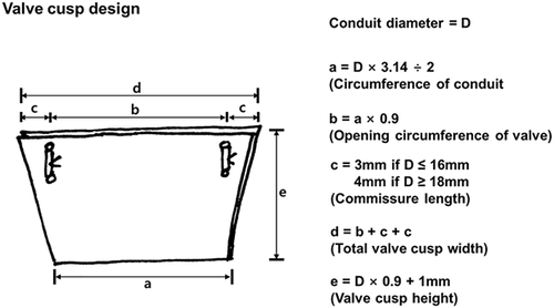 Details are in the caption following the image Details are in the caption following the image