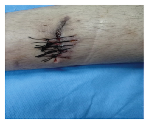 Details are in the caption following the image Details are in the caption following the image