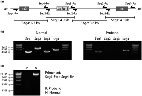 Details are in the caption following the image Details are in the caption following the image