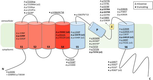 Details are in the caption following the image Details are in the caption following the image
