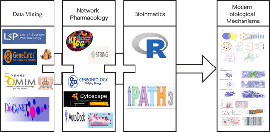 Systemic pharmacology and bioinformatics: Exploring the modern biological mechanisms of rhubarb in the treatment of papillary thyroid carcinoma