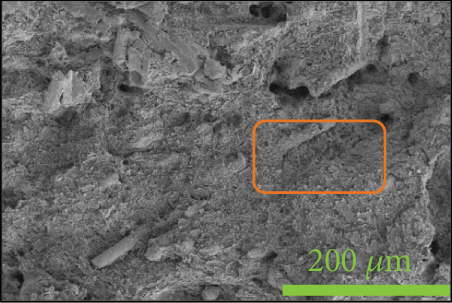 Details are in the caption following the image