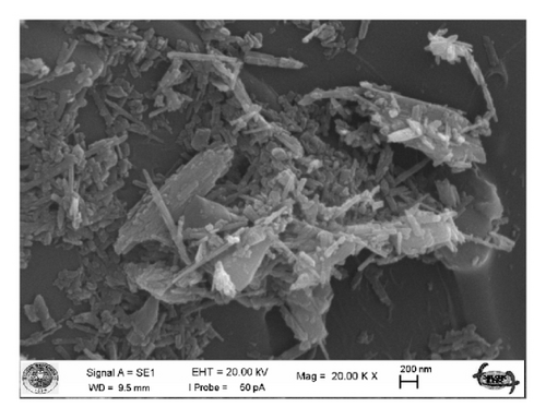 Details are in the caption following the image