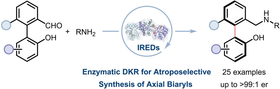 Atroposelective Synthesis of Axial Biaryls by Dynamic Kinetic Resolution Using Engineered Imine Reductases