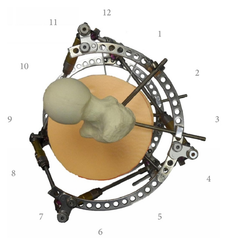 Details are in the caption following the image Details are in the caption following the image