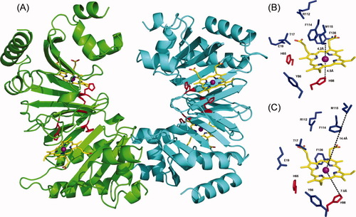 Details are in the caption following the image