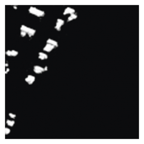 Details are in the caption following the image