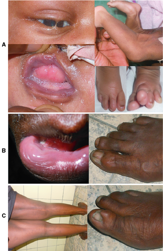 Details are in the caption following the image Details are in the caption following the image