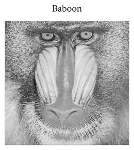 Details are in the caption following the image