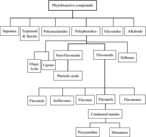 Phytobioactive compounds as therapeutic agents for human diseases: A review
