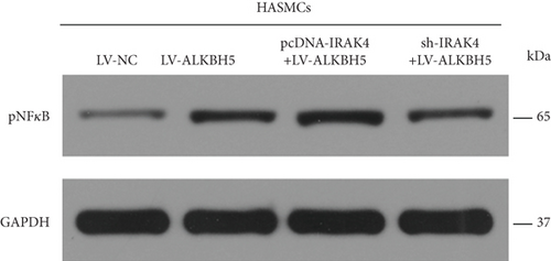 Details are in the caption following the image