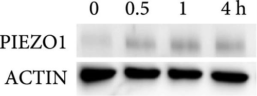 Details are in the caption following the image