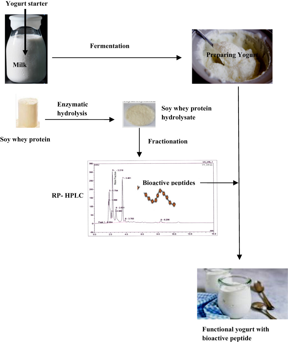 Improving effect of soy whey-derived peptide on the quality characteristics of functional yogurt
