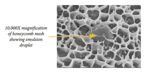 Details are in the caption following the image