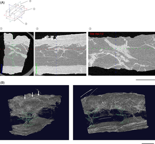 Details are in the caption following the image Details are in the caption following the image