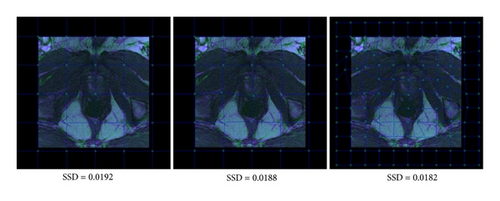 Details are in the caption following the image Details are in the caption following the image