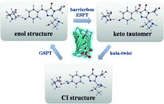 Concerted Asynchronous Hula-Twist Photoisomerization in the S65T/H148D Mutant of Green Fluorescent Protein