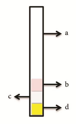 Details are in the caption following the image
