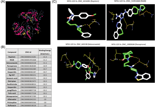 Details are in the caption following the image Details are in the caption following the image