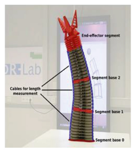 Details are in the caption following the image