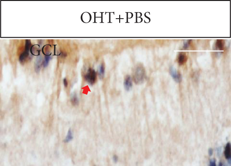 Details are in the caption following the image