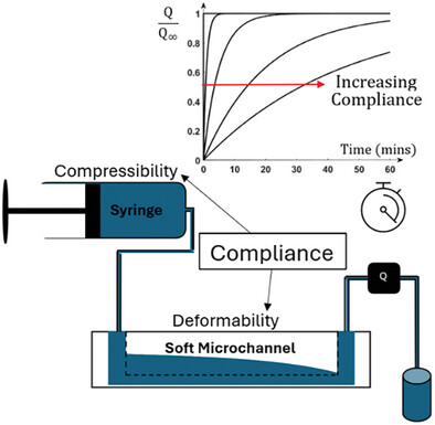 Characterization of the Dynamic Flow Response in Microfluidic Devices