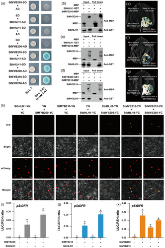 Details are in the caption following the image Details are in the caption following the image