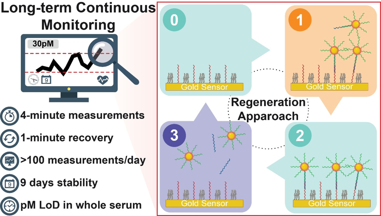 Long-Term and Continuous Plasmonic Oligonucleotide Monitoring Enabled by Regeneration Approach