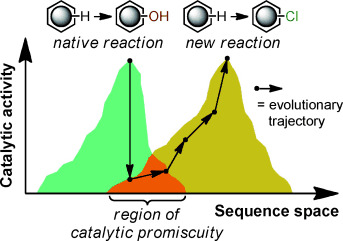 Expanding the Enzyme Universe: Accessing Non-Natural Reactions by Mechanism-Guided Directed Evolution