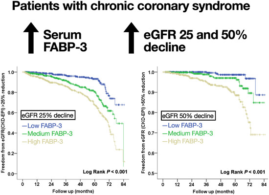 Fatty acid-binding protein-3 and renal function decline in patients with chronic coronary syndrome