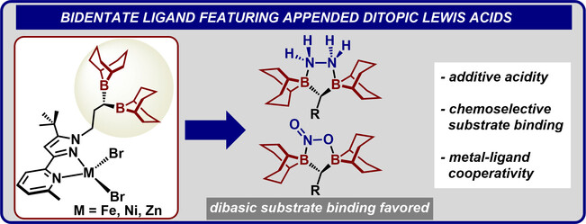 A Bidentate Ligand Featuring Ditopic Lewis Acids in the Second Sphere for Selective Substrate Capture and Activation