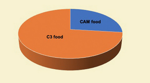Dietary importance of C3 and CAM food pathways for birds in a Neotropical semiarid zone