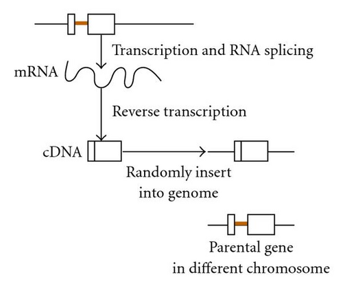 Details are in the caption following the image