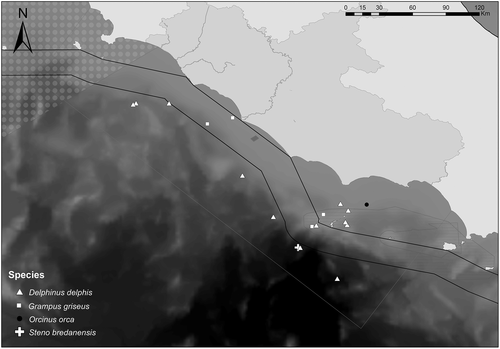 Details are in the caption following the image