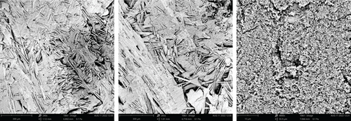 Details are in the caption following the image