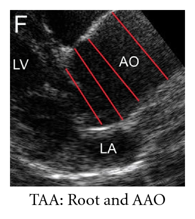 Details are in the caption following the image