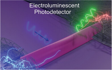 Mixed Ionic-Electronic Conduction Enables Halide-Perovskite Electroluminescent Photodetector